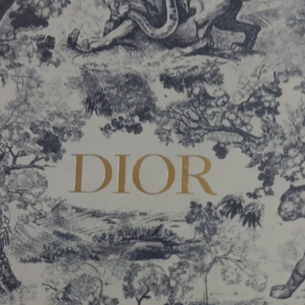Dior Artistic Blue and White Notebook - Picture 2 of 3